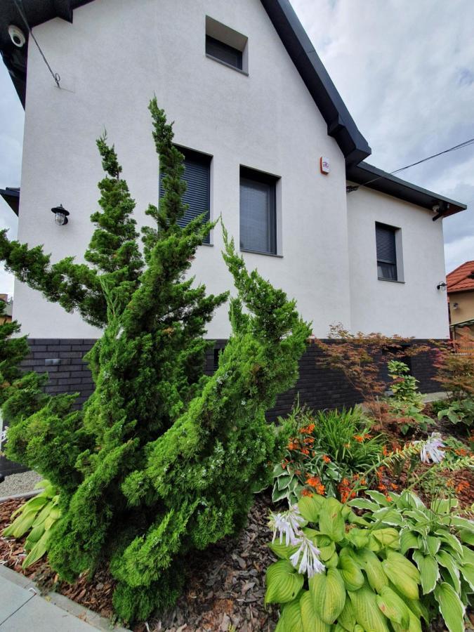 Villa Tweed House Budapest Exterior foto